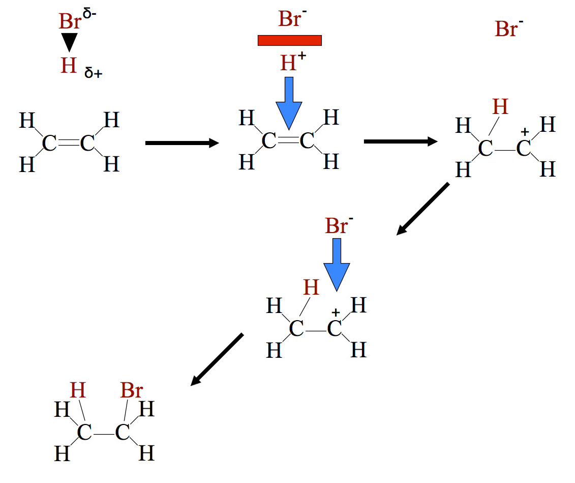 Die Elektrophile Addition.png