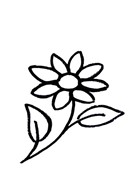 Bild Blume.jpg