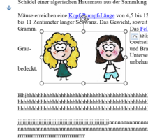 Verankerung von bildern.png