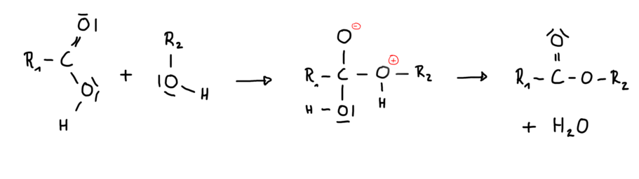Reaktionsmechanismus ohne Katalysator.png