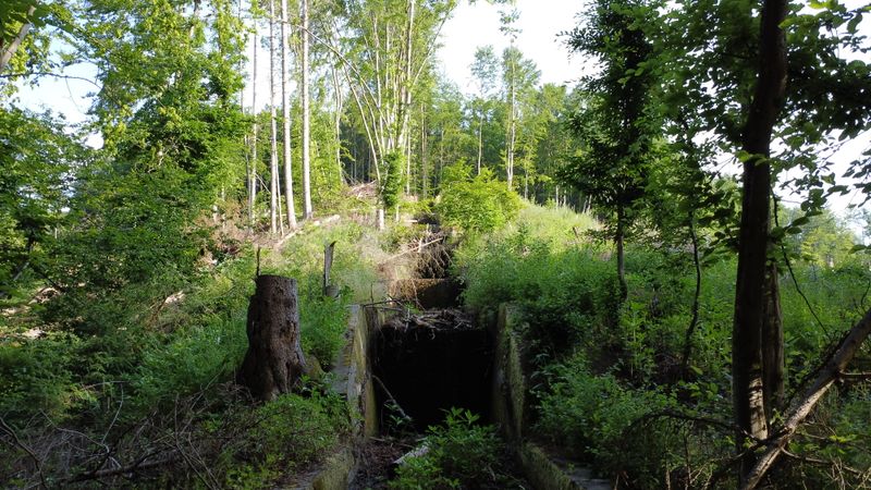 Datei:Kaskaden Helsa.jpg