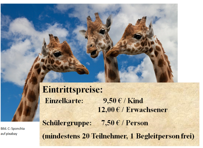 Zoobesuch Eintrittspreise.png