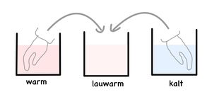 Experiment Temperatursinn.jpg