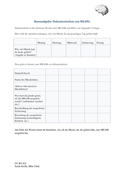Datei:Hausaufgabe Dokumentation von MEAMs.pdf