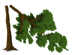 Umgeknickter Baum.png