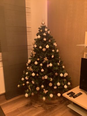 FD0805F2-0884-4D35-BD9A-5CC1C8023AE3.jpg
