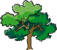 Oak-309878 1280.png