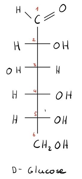 Datei:D-Glucose.jpg