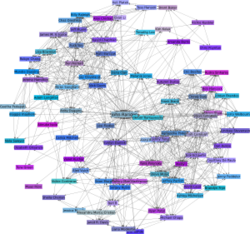 Netzwerk.png