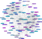 Netzwerk.png