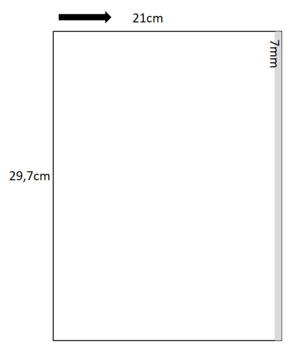Din A4 Blatt Rolle 1.png