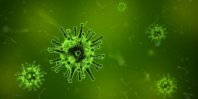 Virus-1812092 1920.jpg
