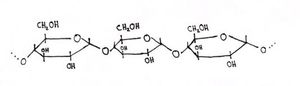 Amylose.jpg