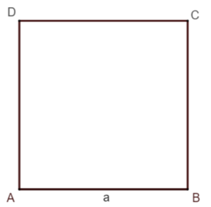 Quadrat allgemein.png