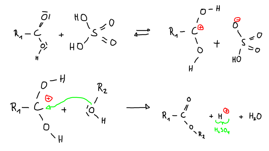 Reaktionsmechanismus Ester mit Katalysator.png