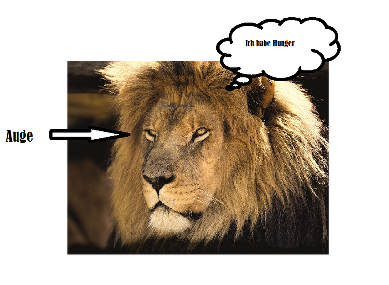 Datei:Löwe .png