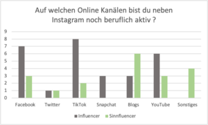 Auf welchen Online Kanälen bist du neben Instagram noch beruflich aktiv ?.png