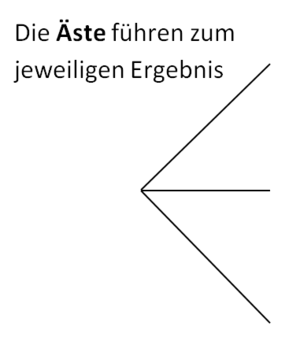 Baumdiagramm zeichnen 1.png