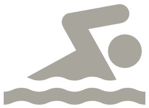 Silber-Schwimmer.jpg